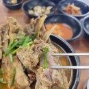 제주성산해장국 | 성산 맛집 | 제주 흑돼지 구이 말고 흑돼지 뼈해장국 !! '도영식당' 내돈내산 후기