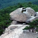 영신숲길2 이미지