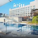 나라약국 | 제주 시내 호텔 위치 추천 숙소 4곳 추천 가격 비교 할인 예약 꿀팁