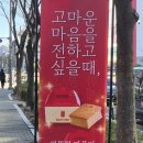 진심 | 무항생제, 무방부제 카스테라 '진심카스테라' 추천 후기