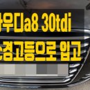 250034 이미지