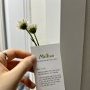 대구식품2호 | 대구 답례품 추천 멜로우즈 대구 수제쿠키 전문점
