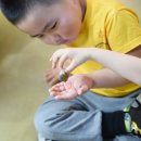 자연아놀자박물관 이미지