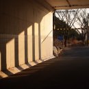 강서체육공원 이미지