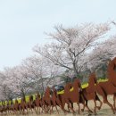 제주첫날두근 이미지