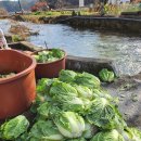 초당지펜션 이미지