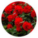 정천초등학교 이미지