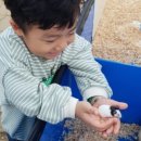 자연아 놀자 네이버블로그