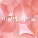 누베스커피 이미지