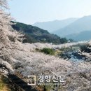 하동 이미지