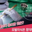 히트성형외과의원 이미지