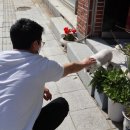 뉴스타미용실 이미지