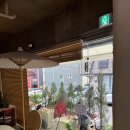 대전 서구 카페 추천 원잇투메종탄방 내돈내산 후기 (꿈돌이 산도, 주차, 가격)