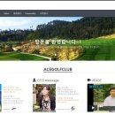 에이스골프클럽 이미지