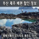 (주)엠에스페리 이마트24 뉴스타여객선점 | 부산 제주도 배편 할인 정보 및 엠에스페리 뉴스타호 크루즈 타고 가기