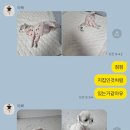 봉황동 유적 공중화장실(사무실) | [유럽여행] 스위스에서 이탈리아로 엄마랑 단둘이 자유여행 (8) 🇮🇹