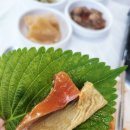 천덕송어 이미지