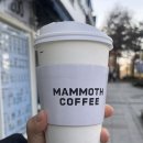 매머드익스프레스망포역점