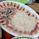 칠암거북 이미지