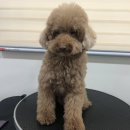 푸리미엄 이미지