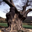 남해-278 이미지