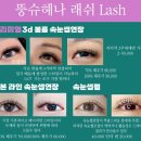 뚱슈헤나 이미지