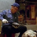 플란다스의 개 이미지