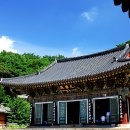 동화사 이미지