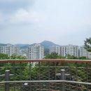 인천 남동구 서창동 &lt;콩심&gt; 김콩,모듬만두 후기