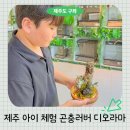 영농조합법인 늘처음처럼 | 제주 아이 체험 곤충 러버라면 덕천곤충 영농조합 디오라마