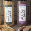 가미사