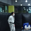 소미션스 주짓수&복싱 MMA 이미지