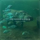 사천수산동물병원 | 사천 아라마루 아쿠아리움 입장권 하마 케이블카 주차 후기