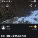 정읍유통