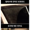 히포 이미지