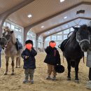 홍천 소노펠리체 승마클럽, 어린이 승마 체험 가격 비발디파크 이색체험