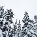 홈베이킹 이미지