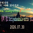 257강. (S12:22) Dasabalasuttaṃ 십력 경2 이미지