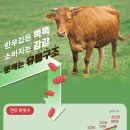 오늘의한우 이미지