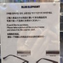 블루몬스터 | 성수 팝업 핫플 젠틀몬스터 말고 성수 블루엘리펀트에서 인생 안경 찾은 후기