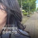 원주 미용실 에이바헤어 원주혁신점 애쉬브라운 염색 후기