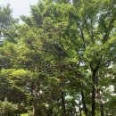 마두공원 이미지