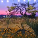 여행과치유 이미지