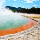 성업목장 이미지