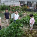 찬희농장 이미지