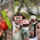 백담계곡 이미지