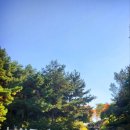 남산공원길1 | 서울 데이트 코스 추천 | 단풍과 함께하는 남산공원 백범광장 코스 현재