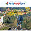 청원생명축제(2012 ) 이미지