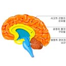 사랑의원 이미지