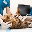 아우라케어 네이버블로그